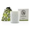 Diptyque Scented Candle - 34 Boulevard Saint Germain 220g/7.3oz