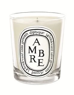 Diptyque Ambre (Amber) Candle 6.5oz