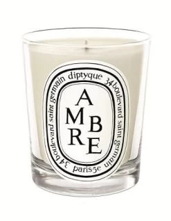 Diptyque Ambre (Amber) Mini Candle 2.4oz
