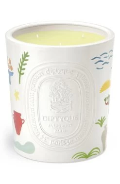 Diptyque Citronnelle(Lemongrass) Indoor & Outdoor Candle