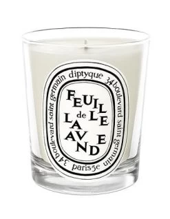 Diptyque Feuille De Lavande (Lavender Leaf) Candle 6.5oz