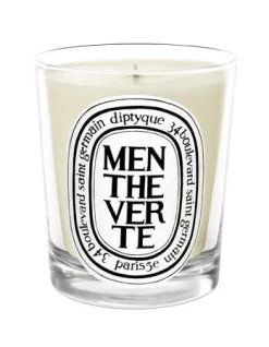 Diptyque Menthe Verte (Garden Mint) Candle 6.5oz
