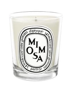 Diptyque Mimosa Candle 6.5oz