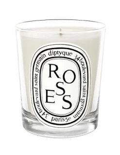 Diptyque Roses Mini Candle 2.4oz